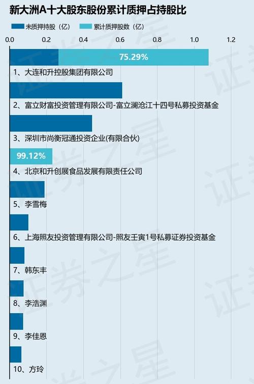 000571新大洲最新消息_新大洲A债务问题_新大洲A大宗交易