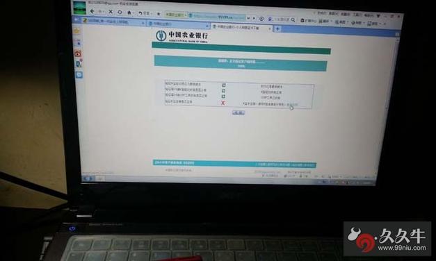 中国农业发展银行企业网银功能_网上银行转账没有支行_中国农业发展银行企业网银服务