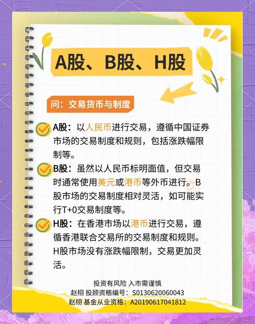 a股 b股 h股 n股 s股 A股、B股、H股特点及适合人群介绍，一文帮你搞懂